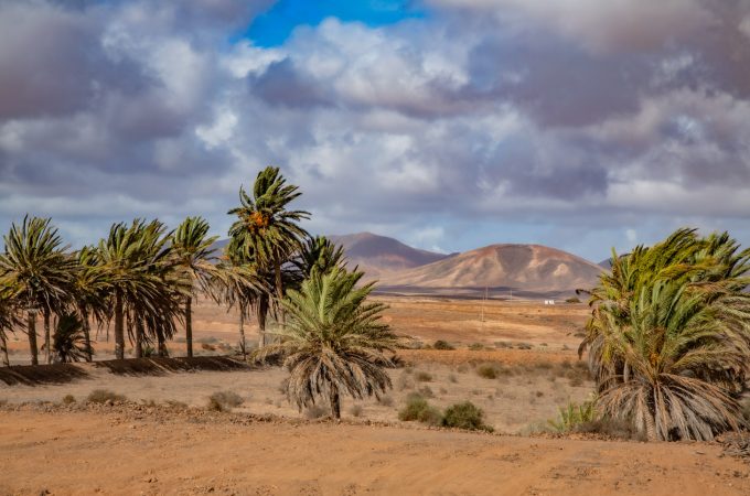 Fuerteventura
